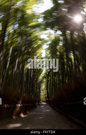 Arashiyama Bamboo Grove, Ukyo Ward, Kyoto, Kyoto Prefecture, Japan Stock Photo