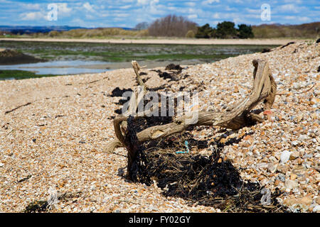 Views of Hayling Island beach in Hampshire on a summer's day with blue sky, and beach detail Stock Photo