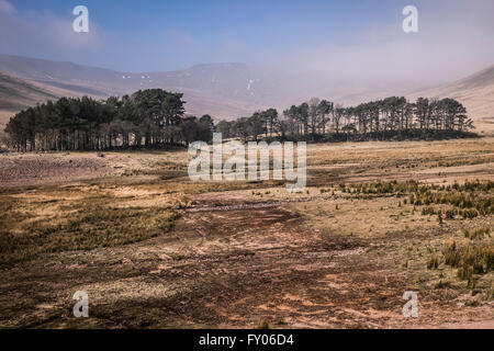 Upper Neuadd Reservoir, drained of water. Stock Photo