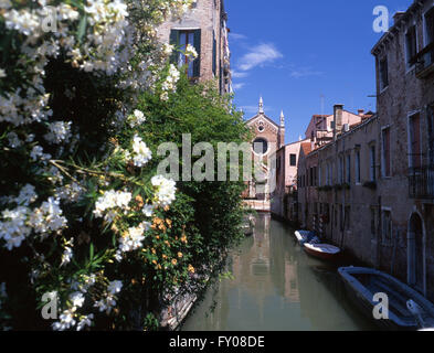 Madonna dell'Orto church reflected in canal with flowers in foreground Cannaregio sestier Venice Veneto Italy Stock Photo