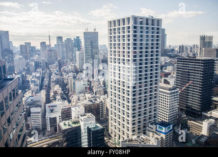 Aerial view from Hotel New Otani on Akasaka district in Tokyo city, Japan with Akasaka K Tower on foreground Stock Photo