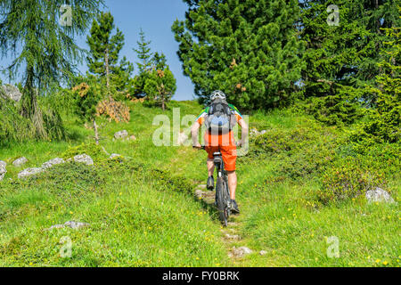 Bike traveler with rucksack rides a green trail uphill Stock Photo