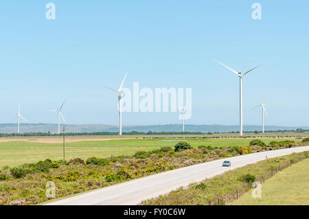 HUMANSDORP, SOUTH AFRICA - FEBRUARY 28, 2016:  The N2 National Road near Humansdorp with wind driven turbines and cattle Stock Photo