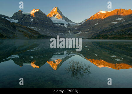 Sunrise on Mt. Assiniboine from Magog Lake, Mt. Assiniboine Provincial Park, British Columbia, Canada SEPTEMBER Stock Photo