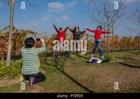 Tourists in vineyard at Jacuzzi Family Vineyards south of the town of Sonoma in Sonoma Valley in Sonoma County California United Stock Photo