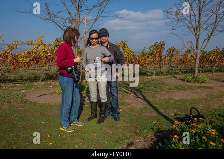Tourists in vineyard at Jacuzzi Family Vineyards south of the town of Sonoma in Sonoma Valley in Sonoma County California Stock Photo