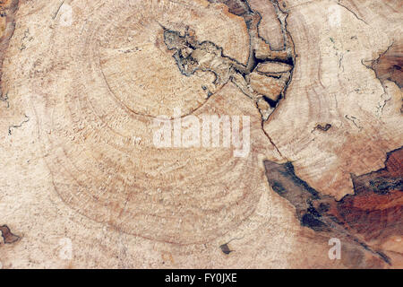 Picture of an old cracked wood background Stock Photo
