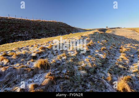 A frosty morning along the Wansdyke ancient earthwork on the Wiltshire Downs. Stock Photo