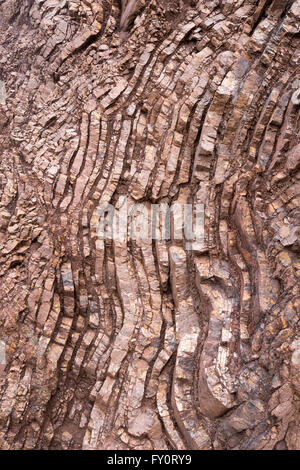 Swirly Chert Outcropping in Marin Headlands Stock Photo