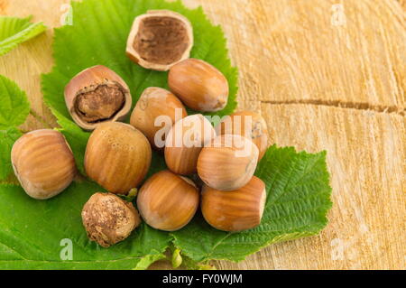 Raw hazelnuts on a green leaf placed on a wooden board Stock Photo