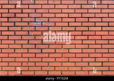 Texture of lightly weathered and stained dark red brick wall with dark grouting and some screws Stock Photo