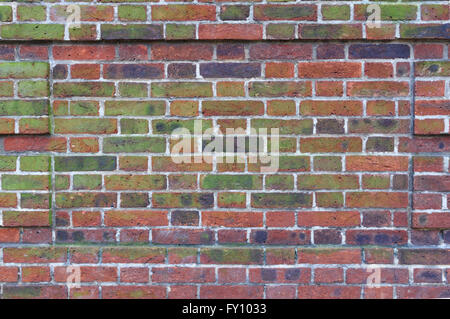 Texture of moss and black stains on old red brick wall Stock Photo