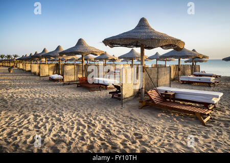 sunbeds and beach umbrella in Marsa Alam, Egypt Stock Photo