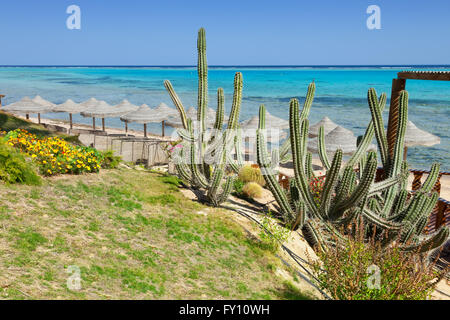 beach and sea in Marsa Alam, Red Sea, Egypt Stock Photo