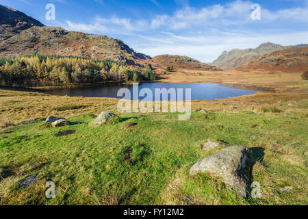 Blea Tarn in the Lake District on a beautiful Autumn day. Stock Photo