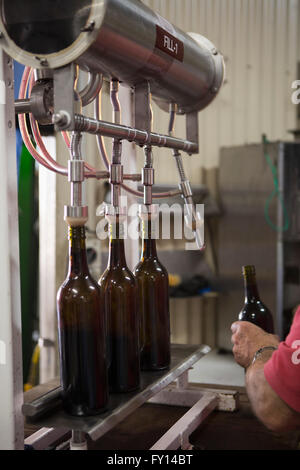 Cropped image of a man holding bottle in a factory Stock Photo