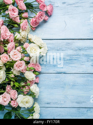 Delicate fresh roses on the blue wooden background. Stock Photo