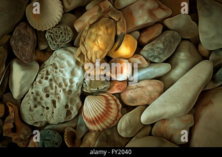 Various sea pebbles with shells Stock Photo