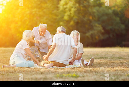 Happy group of seniors making a picnic in the park in summer Stock Photo