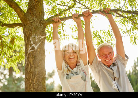 Senior couple in love happily hanging from a tree in summer Stock Photo