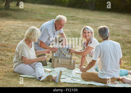 Friends having a picnic together in the park in summer in the nature Stock Photo