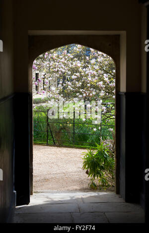 Worcester college arched doorway and magnolia tree in spring. Oxford, UK Stock Photo