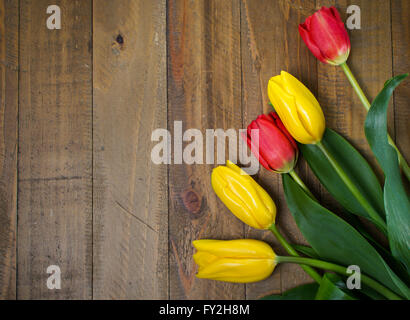 Yellow and red tulips on rustic wooden table Stock Photo