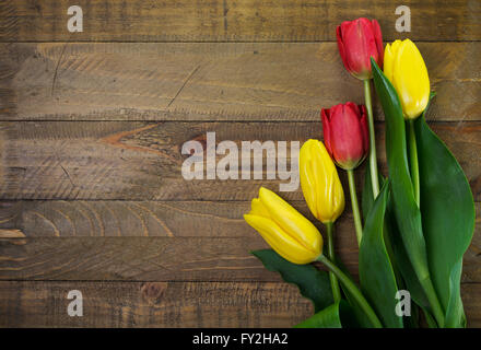 Yellow and red tulips on rustic wooden table Stock Photo