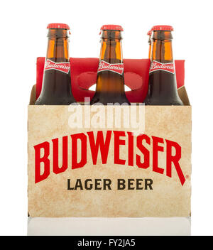 Winneconne, WI - 12 March 2016: A six pack of Budweiser lager beer with  a different design than the current. Stock Photo