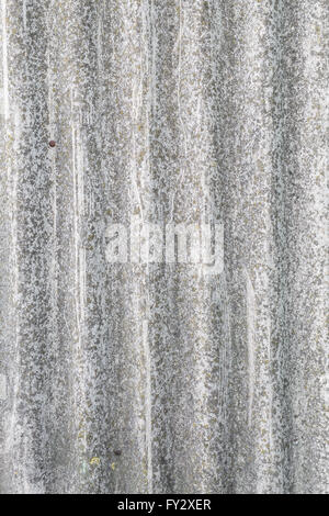 Old gray wooden background. Picture of wooden structure. Stock Photo
