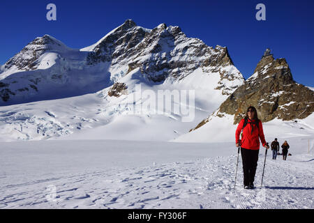 Tourists walking glacier trail from Jungfraujoch to Mönchsjoch hut with Mt. Jungfrau in back, Bernese alps, Switzerland Stock Photo