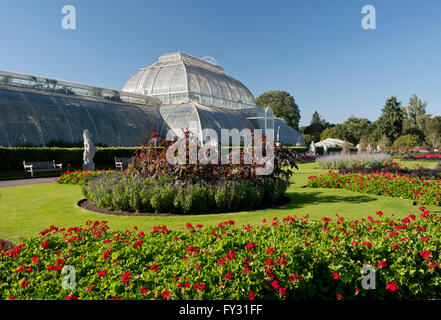 Geraniums on the parterre in front of the Palm House at Kew Gardens, London, UK Stock Photo