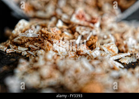 Pile of salt with paprika, macro Stock Photo