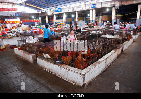 A woman sells chickens in the indoor market in Yangshuo, China Stock Photo