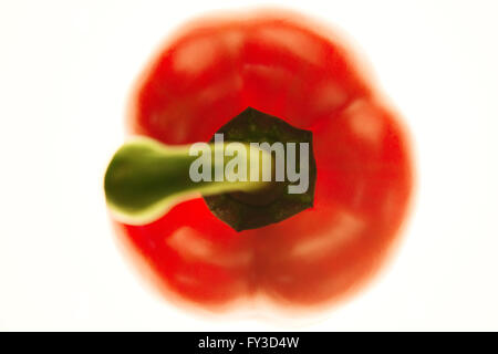 macro topshot of red pepper on white background Stock Photo