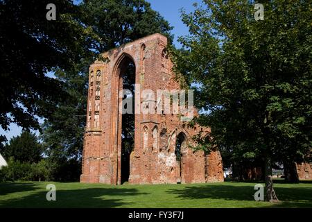 Germany Mecklenburg-Vorpommern state Greifswald town Wieck district Kloster Eldena (Eldena Monastery) ruin of Cistercian Stock Photo