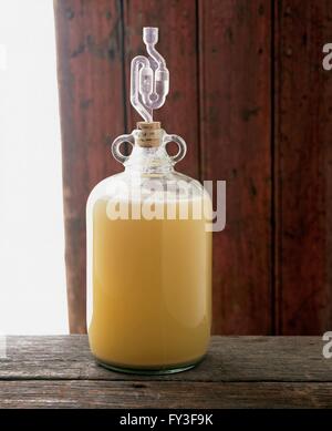 Cider fermenting in demijohn with airlock fitted Stock Photo