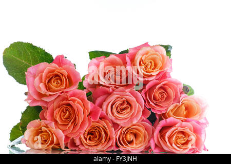 bouquet of pink roses isolated on white Stock Photo