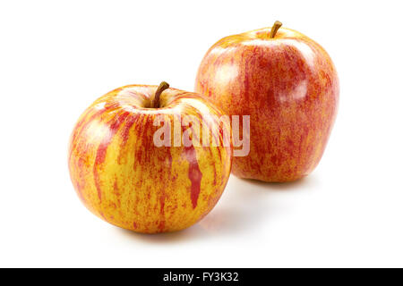 Two striped apples on white Stock Photo