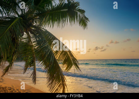 sunset on anse georgette in praslin island seychelles Stock Photo