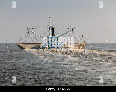 Shrimp trawler fishing on Waddensea in the Netherlands Stock Photo
