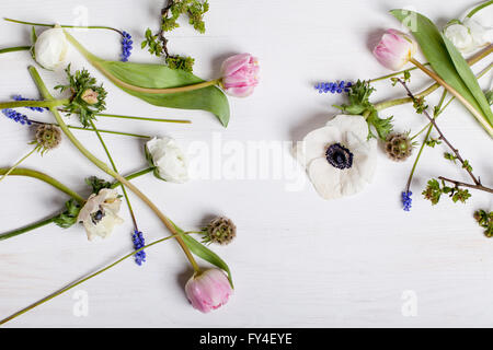 White anemone, pink tulips and grape hyacinths lying on the white wood Stock Photo