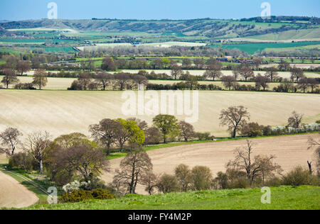 View from Ivinghoe Beacon, the Chilterns. Stock Photo