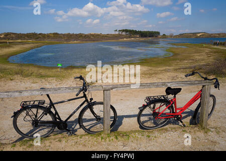 nature reserve 'Kennemerland' near the coast of Holland Stock Photo