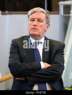 Dan Mulhall. Ambassador of Ireland to Great Britain.  Ambassador Mulhall became Ambassador of Ireland to Great Britain in September 2013 Stock Photo