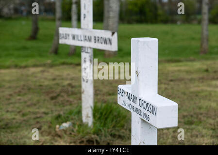 White crosses marking the graves of two babies. Stock Photo