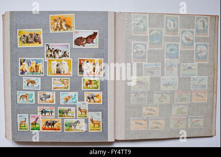 Collection of postage stamps in album from Equatorial Guinea, Burundi Stock Photo