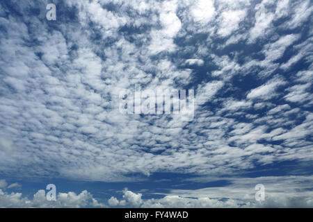 White, fluffy altocumulus clouds in the blue sky Stock Photo