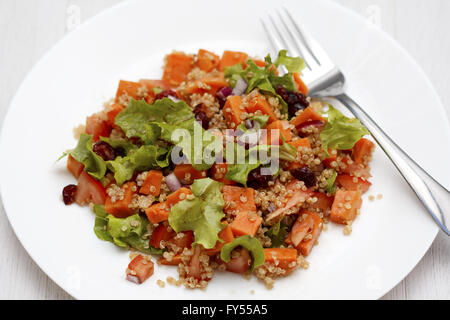 Quinoa salad with sweet potatoes, red onions, lettuce, cranberries and tomatoes o Stock Photo