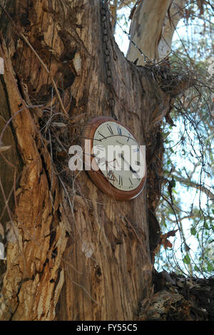Clock on a tree - Australia Stock Photo